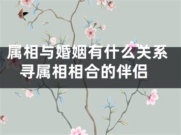 属相与婚姻有什么关系 寻属相相合的伴侣