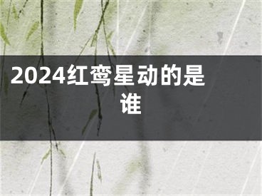 2024红鸾星动的是谁