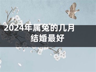 2024年属兔的几月结婚最好