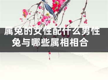 属兔的女性配什么男性 兔与哪些属相相合