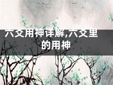 六爻用神详解,六爻里的用神