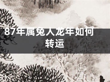 87年属兔人龙年如何转运