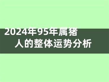 2024年95年属猪人的整体运势分析