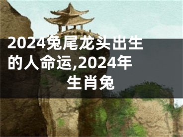2024兔尾龙头出生的人命运,2024年生肖兔