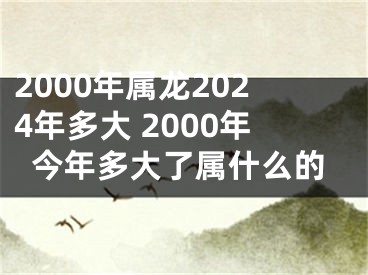 2000年属龙2024年多大 2000年今年多大了属什么的