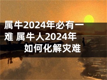 属牛2024年必有一难 属牛人2024年如何化解灾难