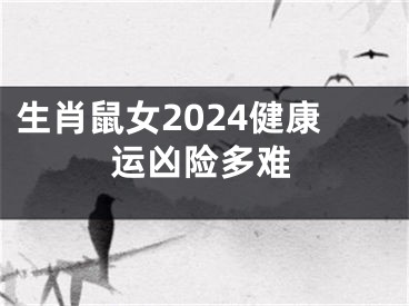 生肖鼠女2024健康运凶险多难