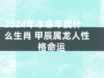 2024年本命年属什么生肖 甲辰属龙人性格命运
