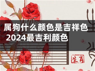 属狗什么颜色是吉祥色 2024最吉利颜色