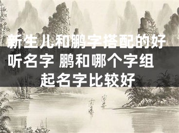 新生儿和鹏字搭配的好听名字 鹏和哪个字组起名字比较好