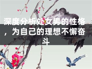 深度分析处女男的性格，为自己的理想不懈奋斗