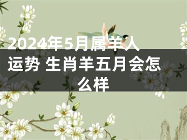 2024年5月属羊人运势 生肖羊五月会怎么样
