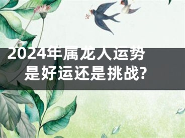 2024年属龙人运势是好运还是挑战?