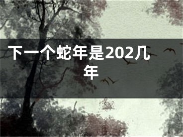 下一个蛇年是202几年