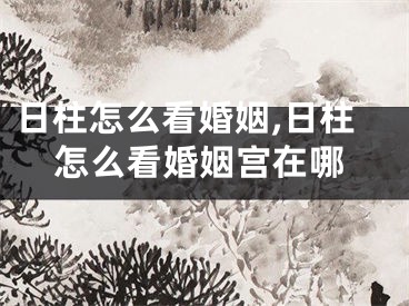 日柱怎么看婚姻,日柱怎么看婚姻宫在哪