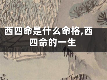 西四命是什么命格,西四命的一生
