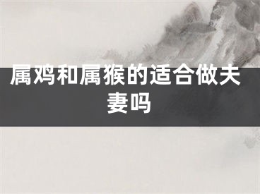 属鸡和属猴的适合做夫妻吗