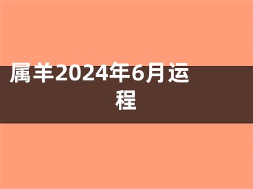 属羊2024年6月运程