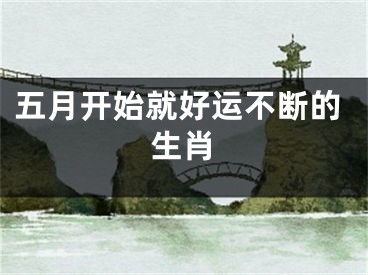 五月开始就好运不断的生肖
