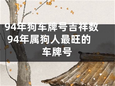 94年狗车牌号吉祥数 94年属狗人最旺的车牌号