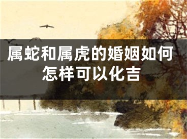 属蛇和属虎的婚姻如何怎样可以化吉