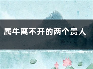 属牛离不开的两个贵人