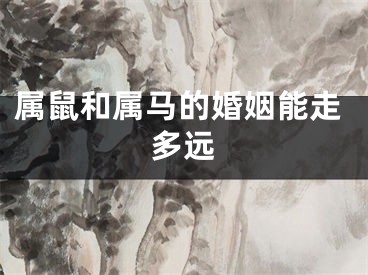 属鼠和属马的婚姻能走多远