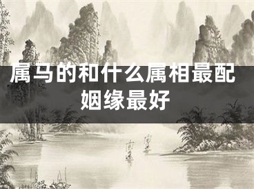 属马的和什么属相最配姻缘最好