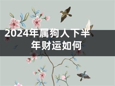 2024年属狗人下半年财运如何