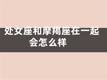 处女座和摩羯座在一起会怎么样 