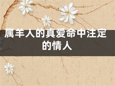 属羊人的真爱命中注定的情人