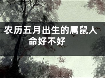 农历五月出生的属鼠人命好不好 