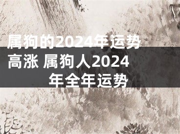 属狗的2024年运势高涨 属狗人2024年全年运势