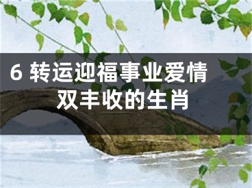 6 转运迎福事业爱情双丰收的生肖