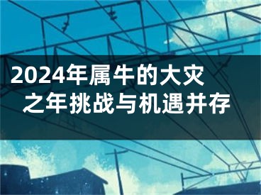 2024年属牛的大灾之年挑战与机遇并存
