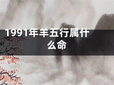 1991年羊五行属什么命