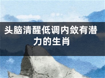 头脑清醒低调内敛有潜力的生肖
