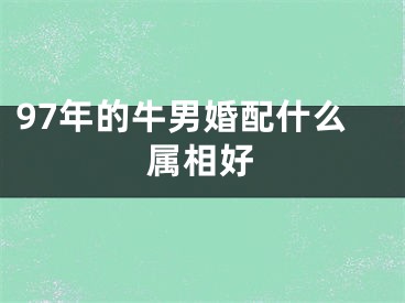 97年的牛男婚配什么属相好