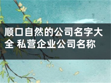 顺口自然的公司名字大全 私营企业公司名称