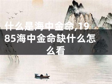 什么是海中金命,1985海中金命缺什么怎么看