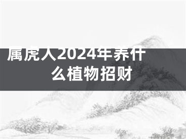 属虎人2024年养什么植物招财