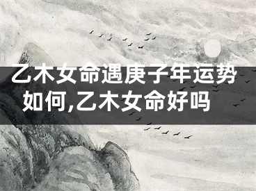 乙木女命遇庚子年运势如何,乙木女命好吗