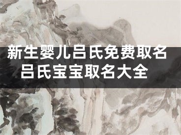 新生婴儿吕氏免费取名 吕氏宝宝取名大全