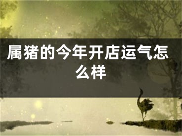 属猪的今年开店运气怎么样