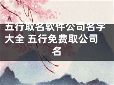 五行取名软件公司名字大全 五行免费取公司名