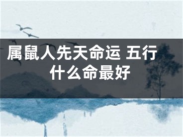 属鼠人先天命运 五行什么命最好