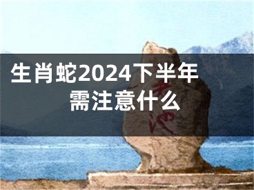 生肖蛇2024下半年需注意什么