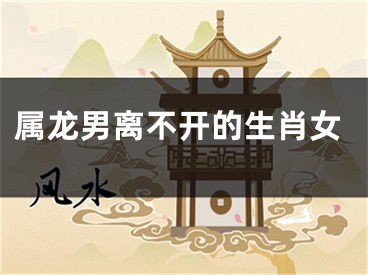 属龙男离不开的生肖女