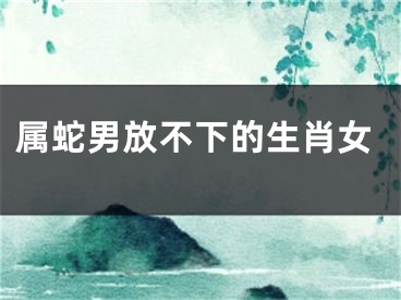 属蛇男放不下的生肖女