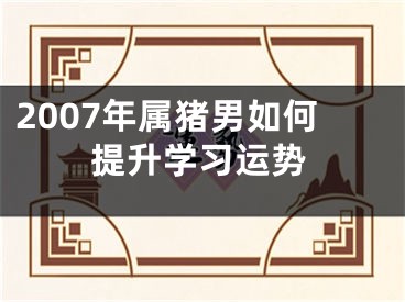 2007年属猪男如何提升学习运势